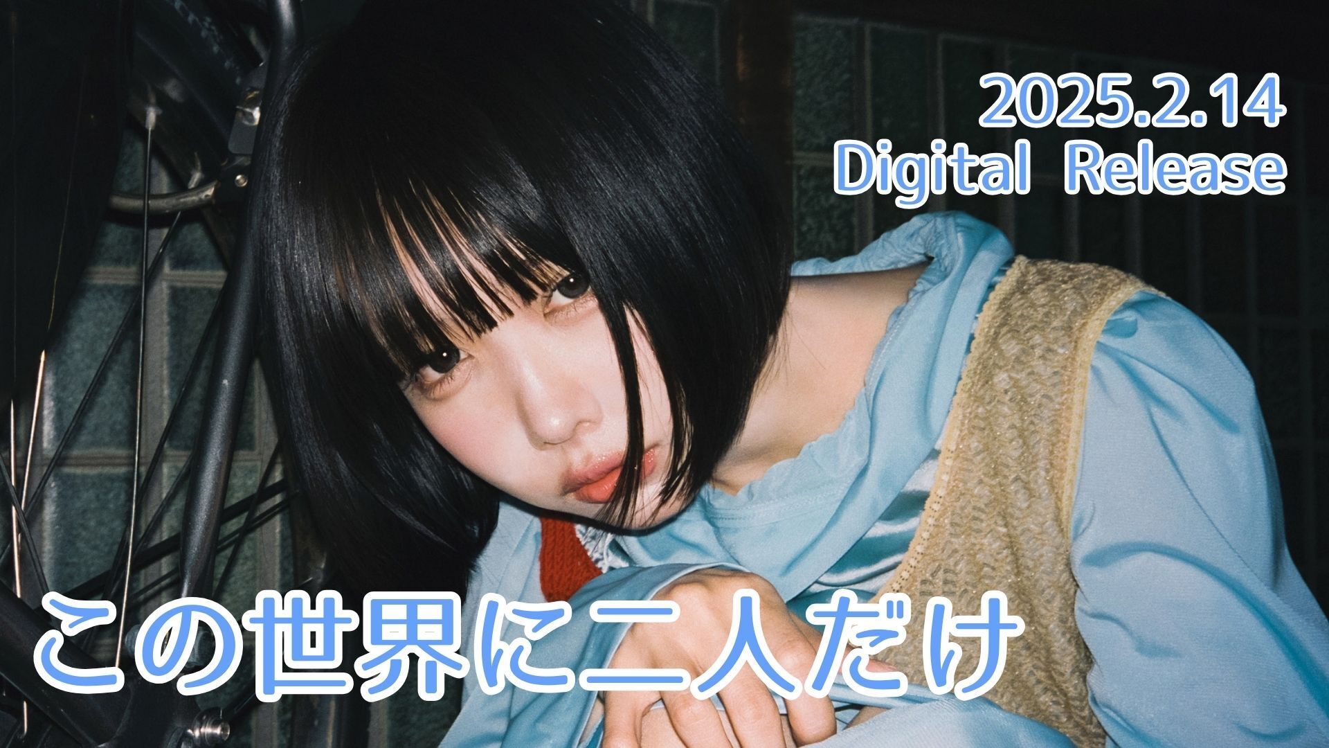 ANO OFFICIAL SITE